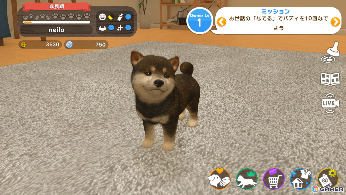犬と猫をお世話して成長を体験できるペットコミュニケーションアプリ「with My Buddy」がApple Arcadeにて配信！の画像8