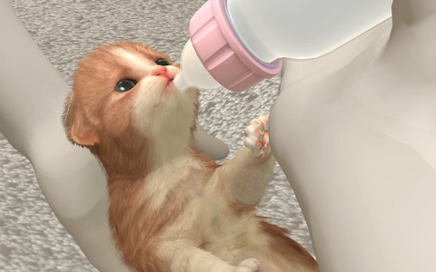 犬と猫をお世話して成長を体験できるペットコミュニケーションアプリ「with My Buddy」がApple Arcadeにて配信！