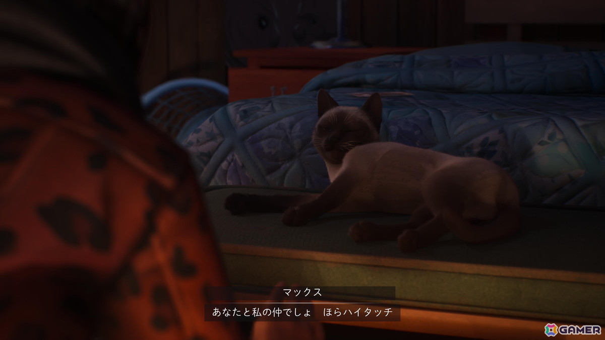 【マリエッティのゲーム探訪】第40回：「ライフ イズ ストレンジ ダブルエクスポージャー」の画像