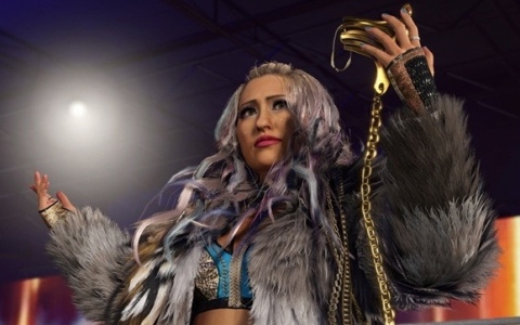 「WWE 2K25」（英語版）のニューウェーブ パックDLCでモーターシティ・マシンガンズなどが登場！