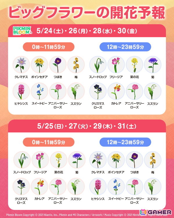 「ピクミンブルーム」で3.5周年を記念したコミュニティ・ウィークが開催！過去に取り逃がしたフラワーバッジやMii用「黄金に輝くシルクハット」が手に入るの画像2