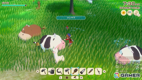 「牧場物語 Let's！風のグランドバザール」牧場生活の“きほん”「作物の育て方」「動物の育て方」を紹介！の画像14