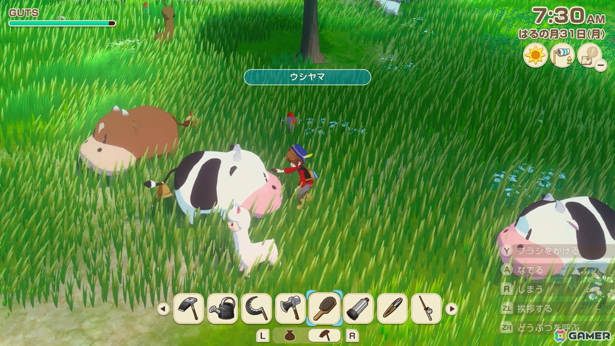 牧草地に出せばエサやりしなくてもOK！