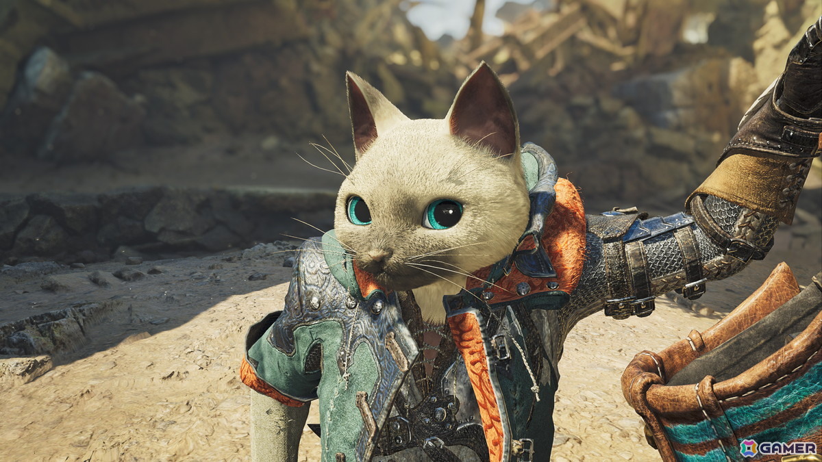 「モンスターハンターワイルズ」で「ストリートファイター6」コラボが開催!「スト6」ディレクター・中山氏がコラボ内容や「ワイルズ」の感想を語る映像もの画像