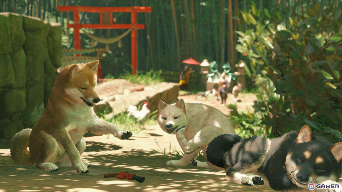 アップデートを重ねたことで遊びやすさが向上。触れあえる犬や猫もより多彩に！