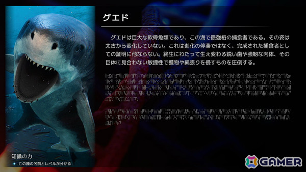 「Outrider Mako ~露払いマコの見習帖~」「こふんは生きている ―マホロヴァ・クラブの死体さがし―」など5作品がSteam Nextフェスに出展!体験版も配信の画像