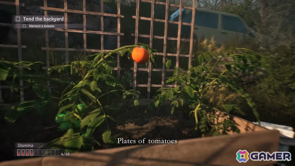 ループする日々の中で、やがて何かが芽生え始める――ライフシミュレーター「Fractured Blooms」が発表の画像