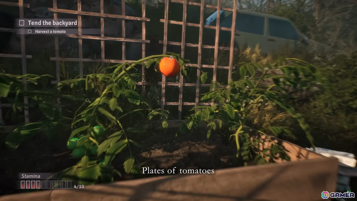 ループする日々の中で、やがて何かが芽生え始める――ライフシミュレーター「Fractured Blooms」が発表の画像3