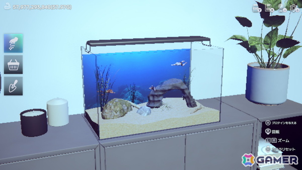 マッチョ飼育サンドボックスゲーム「マチョリウム -Muscle Aquarium Simulator-」のSwitch版が6月19日に発売！の画像
