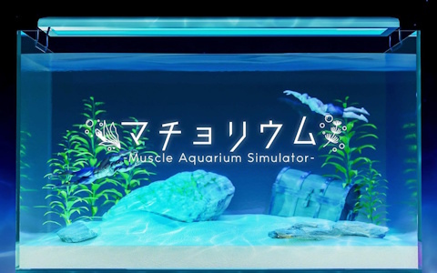 マッチョ飼育サンドボックスゲーム「マチョリウム -Muscle Aquarium Simulator-」のSwitch版が6月19日に発売！