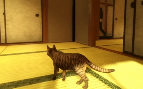 小説「近畿地方のある場所について」で知られる背筋氏の完全新作シナリオによるステルスアクション「まだ猫は逃げますか？」Steamページが公開！