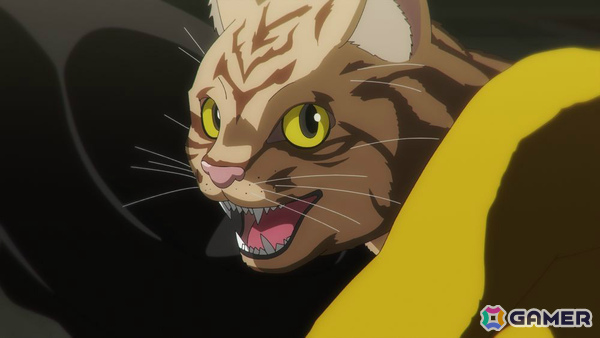 TVアニメ「ニャイト・オブ・ザ・リビングキャット」超絶可愛猫特設災害対策本部の会議を映した本編中盤映像の一部が先行公開!の画像