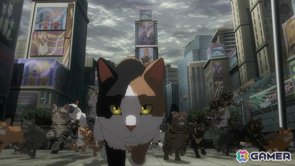 TVアニメ「ニャイト・オブ・ザ・リビングキャット」超絶可愛猫特設災害対策本部の会議を映した本編中盤映像の一部が先行公開!の画像