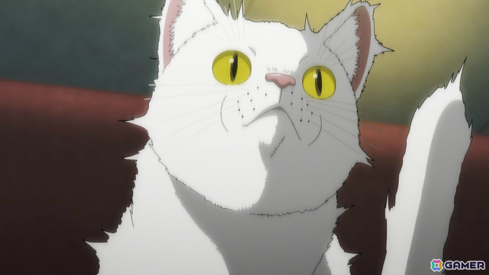 TVアニメ「ニャイト・オブ・ザ・リビングキャット」超絶可愛猫特設災害対策本部の会議を映した本編中盤映像の一部が先行公開！の画像7