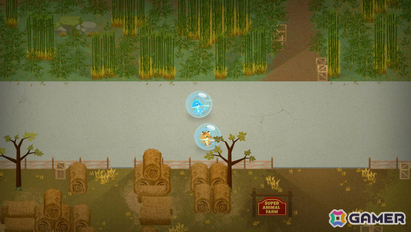 64“匹”のプレイヤーで競う弱食強食バトルロイヤル「Super Animal Royale」コンソール版が2025年末にリリース！の画像