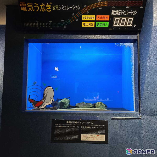 「アクアリウムは踊らない」と長岡市寺泊水族博物館のコラボが8月23日より開催！原作者・橙々氏強制参加のファンツアーもの画像7
