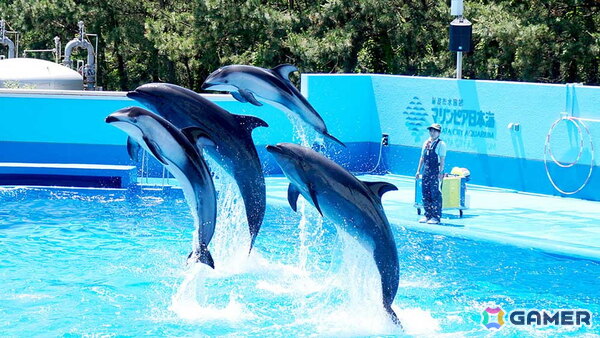 「アクアリウムは踊らない」と長岡市寺泊水族博物館のコラボが8月23日より開催！原作者・橙々氏強制参加のファンツアーもの画像8