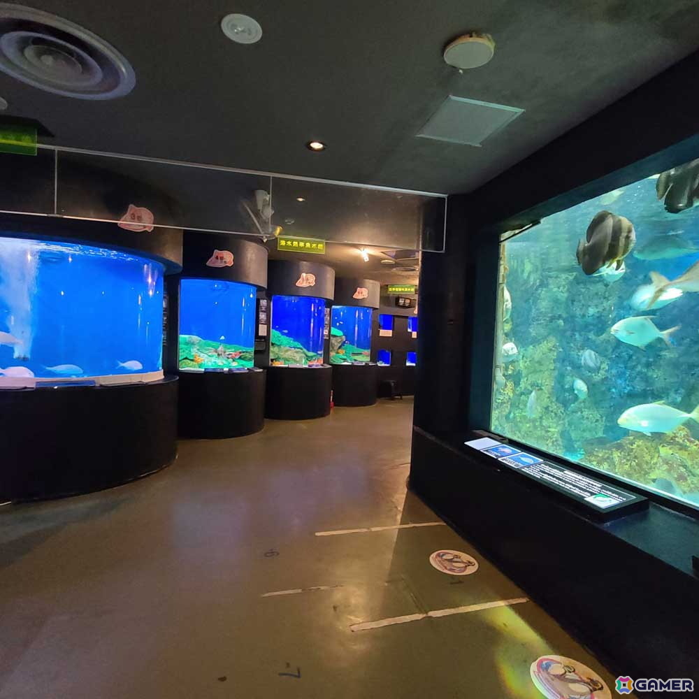 「アクアリウムは踊らない」と長岡市寺泊水族博物館のコラボが8月23日より開催！原作者・橙々氏強制参加のファンツアーもの画像