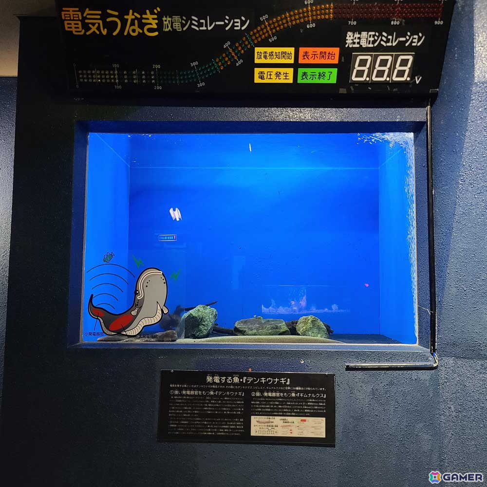 「アクアリウムは踊らない」と長岡市寺泊水族博物館のコラボが8月23日より開催！原作者・橙々氏強制参加のファンツアーもの画像
