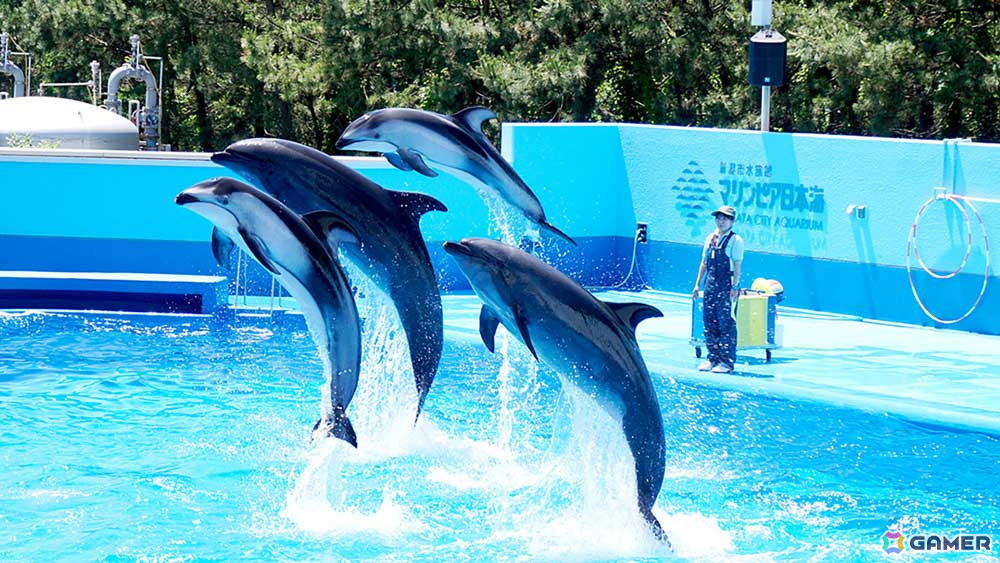 「アクアリウムは踊らない」と長岡市寺泊水族博物館のコラボが8月23日より開催！原作者・橙々氏強制参加のファンツアーもの画像