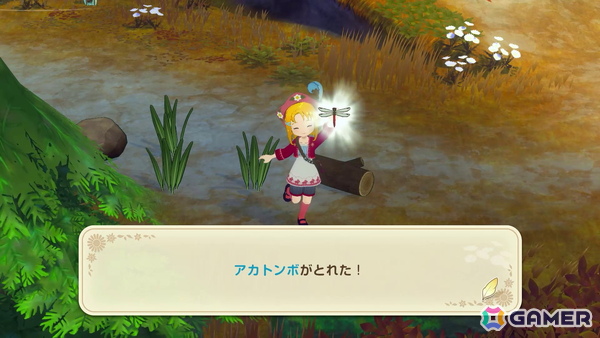 「牧場物語 Let's！風のグランドバザール」自然の恵みを手に入れる採取や虫捕り、魚釣りについて紹介！の画像5