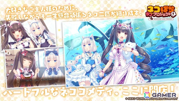 「ネコぱら」シリーズのスマホ版リメイク「ネコぱら ラブプロジェクトVol.1」がリリース！さより氏自らがグラフィックをリファイン、アニメ版声優がボイス新録の画像5