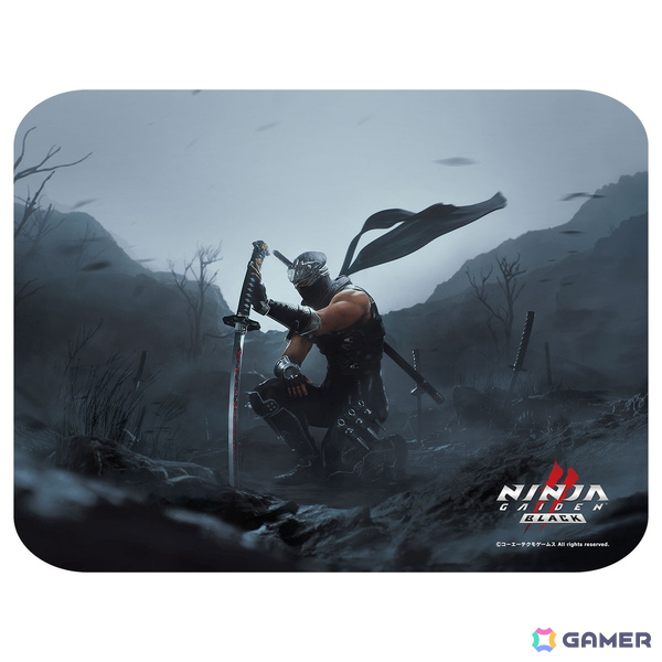 「仁王3」「ゼルダ無双 封印戦記」「NINJA GAIDEN 4」が東京ゲームショウ2025（TGS2025）に出展！コーエーテクモゲームスの新作グッズ情報もの画像