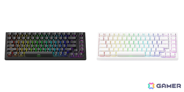 Akkoより75%サイズの磁気式ゲーミングキーボード「TAC75 HE」が9月3日に発売！Amazonランキングで1位を獲得したキーボードの設計思想を受け継いだ製品にの画像2