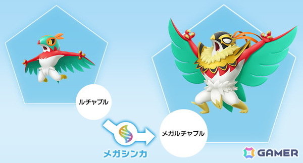 「Pokémon LEGENDS Z-A」レスリングポケモン・ルチャブルがメガシンカしたすがた「メガルチャブル」が登場！増量した筋肉で己の強さを見せつけるエンターテイナーの画像7