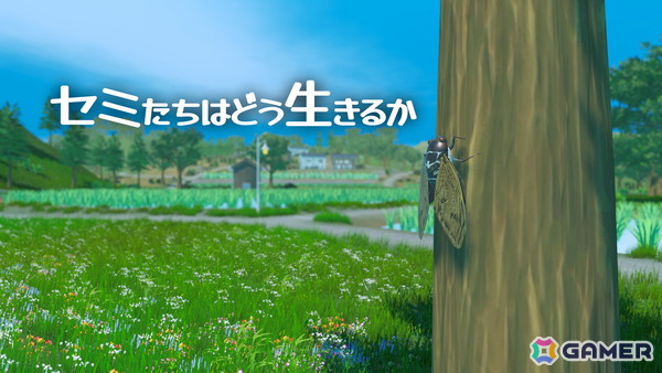 オープンワールドで表現された夏の田舎でセミが世代交代を繰り返すシミュレーションアクションゲーム「セミたちはどう生きるか」の配信日が9月30日に決定！の画像1