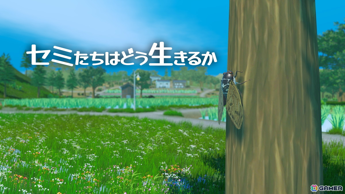 オープンワールドで表現された夏の田舎でセミが世代交代を繰り返すシミュレーションアクションゲーム「セミたちはどう生きるか」の配信日が9月30日に決定！の画像