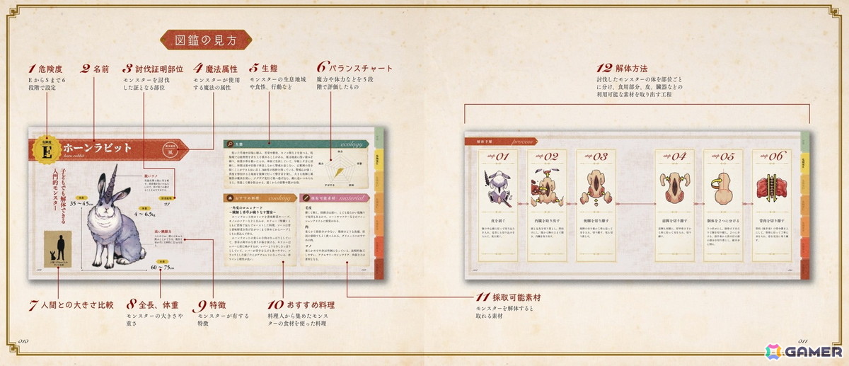図鑑の見方