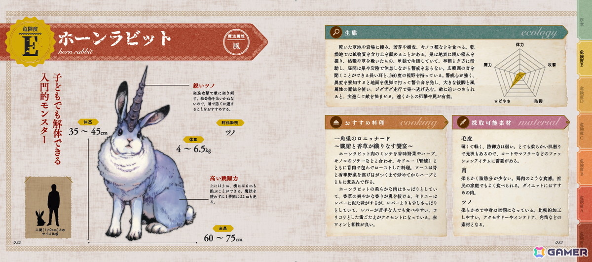 ホーンラビット