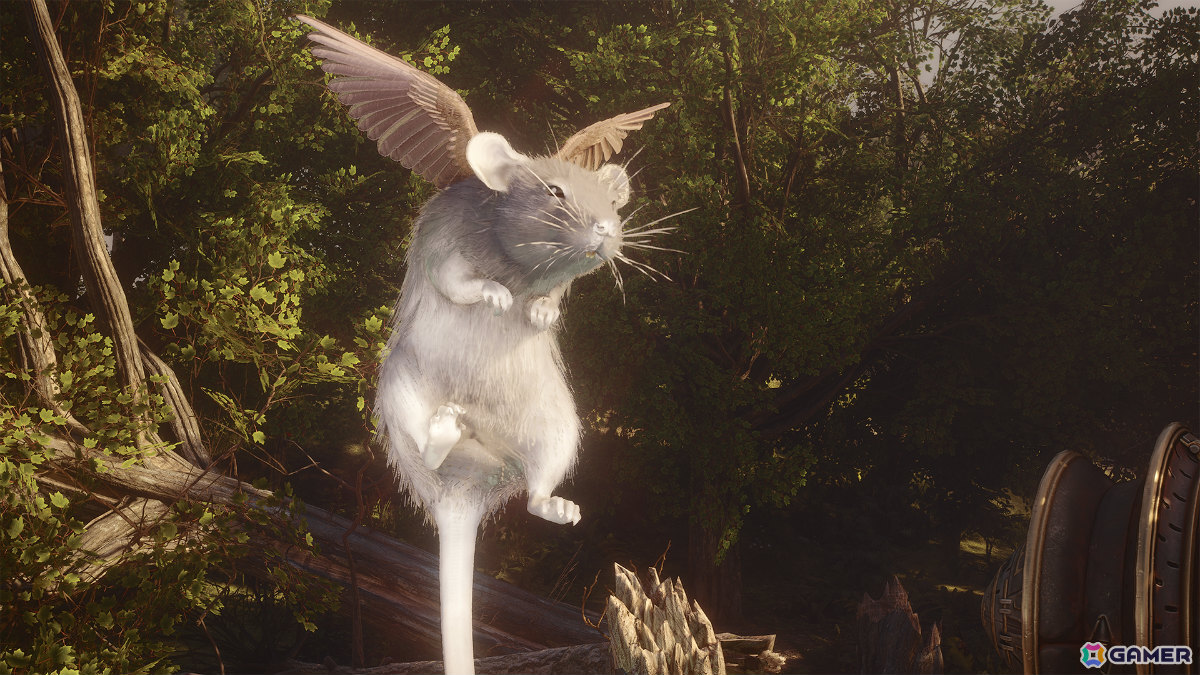 「Soulframe」プレリュードのアップデートが9月後半に配信！アーマーの外見変更などの新機能や新アーマーセット、凶悪なボス戦などが実装の画像12