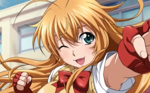 「一騎当千エクストラバースト」のサービスが11月28日をもって終了へ――約5年半の歴史に幕