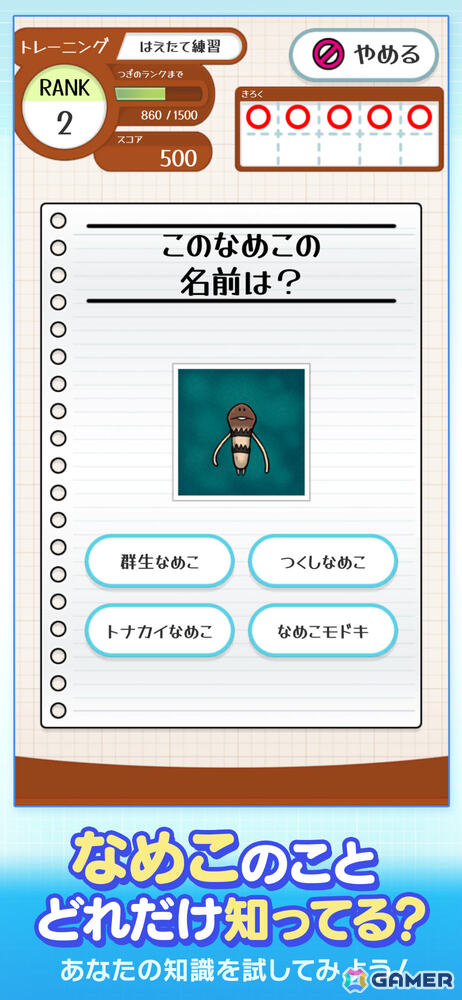 「なめこ栽培キット」シリーズのなめこたちに関する問題に挑戦できる「なめこドリル」が配信！700種以上のカードを集める要素もの画像2
