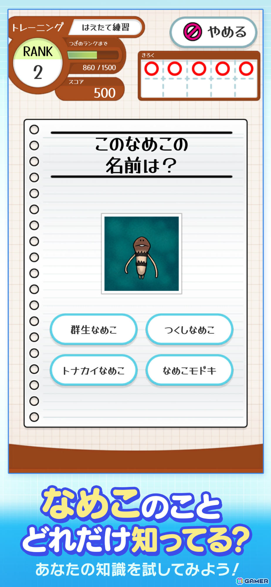 「なめこ栽培キット」シリーズのなめこたちに関する問題に挑戦できる「なめこドリル」が配信！700種以上のカードを集める要素もの画像2