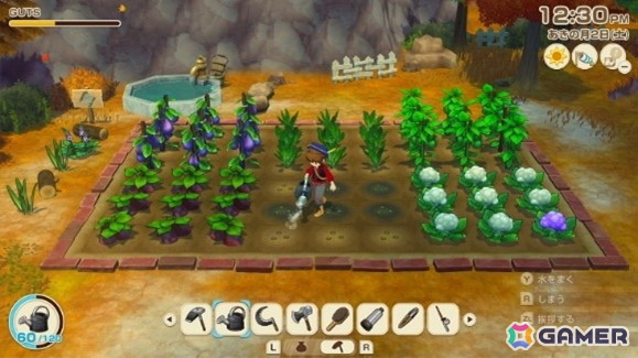 「牧場物語 Let's!風のグランドバザール」と「那須高原りんどう湖ファミリー牧場」のコラボ企画開催期間が2026年1月12日まで延長!トークイベントの実施も決定の画像