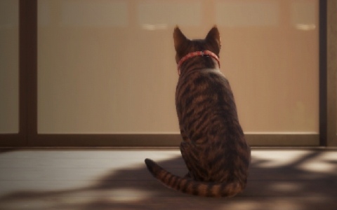 「近畿地方のある場所について」の背筋氏がシナリオを手掛けるホラーゲーム「まだ猫は逃げますか？」の配信日が10月27日に決定！