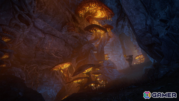 「Warframe」装備MODシステムを学べるクエスト「師範」やキノコモチーフのWarframe「Nokko」など新要素満載な大型アップデートが実施!の画像