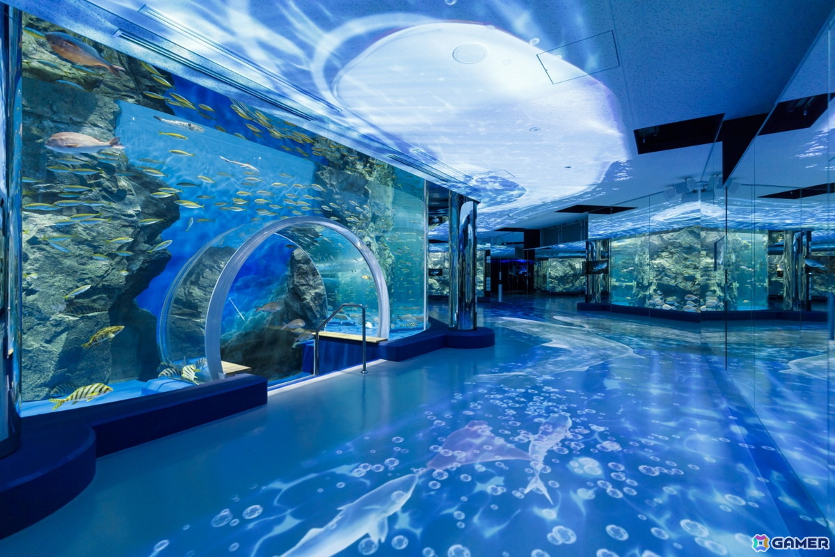 「ラブライブ!蓮ノ空女学院スクールアイドルクラブ」×石川県コラボ第4弾が10月31日より開催!「謎解き」や「のとじま水族館」コラボなどを展開の画像