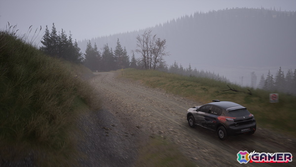 「Assetto Corsa」シリーズ完全新作となる本格ラリー・シミュレーション「Assetto Corsa Rally」が発表！Steam向け早期アクセス版が11月14日に登場の画像