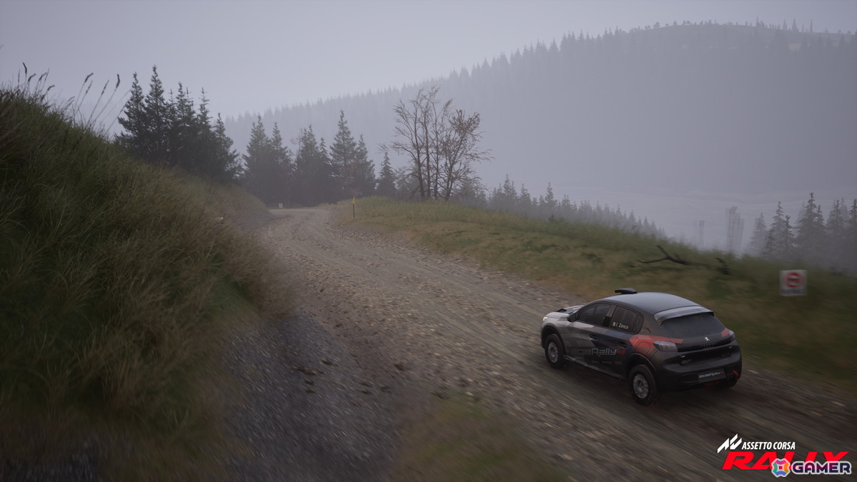 「Assetto Corsa」シリーズ完全新作となる本格ラリー・シミュレーション「Assetto Corsa Rally」が発表！Steam向け早期アクセス版が11月14日に登場の画像11