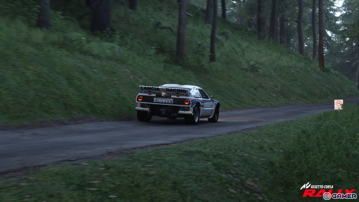 「Assetto Corsa」シリーズ完全新作となる本格ラリー・シミュレーション「Assetto Corsa Rally」が発表！Steam向け早期アクセス版が11月14日に登場の画像13