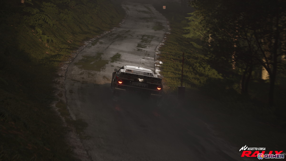 「Assetto Corsa」シリーズ完全新作となる本格ラリー・シミュレーション「Assetto Corsa Rally」が発表！Steam向け早期アクセス版が11月14日に登場の画像14