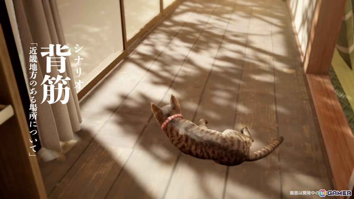 ホラーゲーム「まだ猫は逃げますか？」がSteamで配信！「近畿地方のある場所について」の背筋氏がシナリオを手掛ける完全新作の画像3