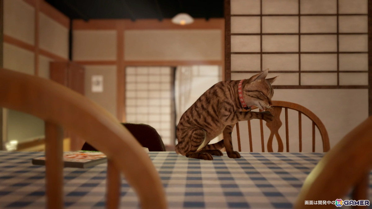 ホラーゲーム「まだ猫は逃げますか？」がSteamで配信！「近畿地方のある場所について」の背筋氏がシナリオを手掛ける完全新作の画像4