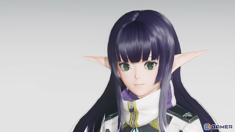 「PSO2 ニュージェネシス」ハイエネミーの撃破を目指す最大32人参加の「異界調査：凍土エリア南部」が「オルタレルム探索：迎撃セクション」に登場！の画像