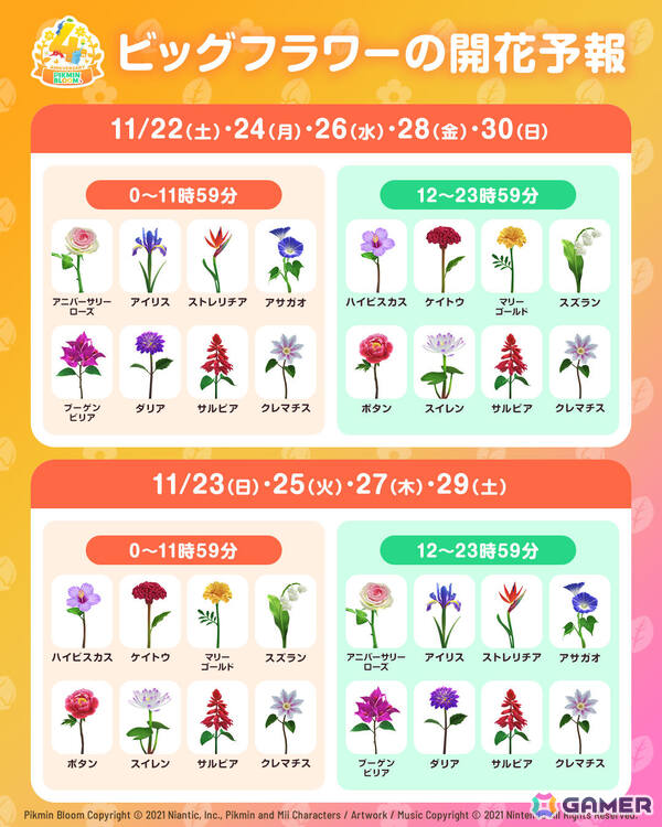 「ピクミンブルーム」4周年コミュニティ・ウィークが11月22日より開催！フラワーバッジや4周年記念バッジを手に入れようの画像2