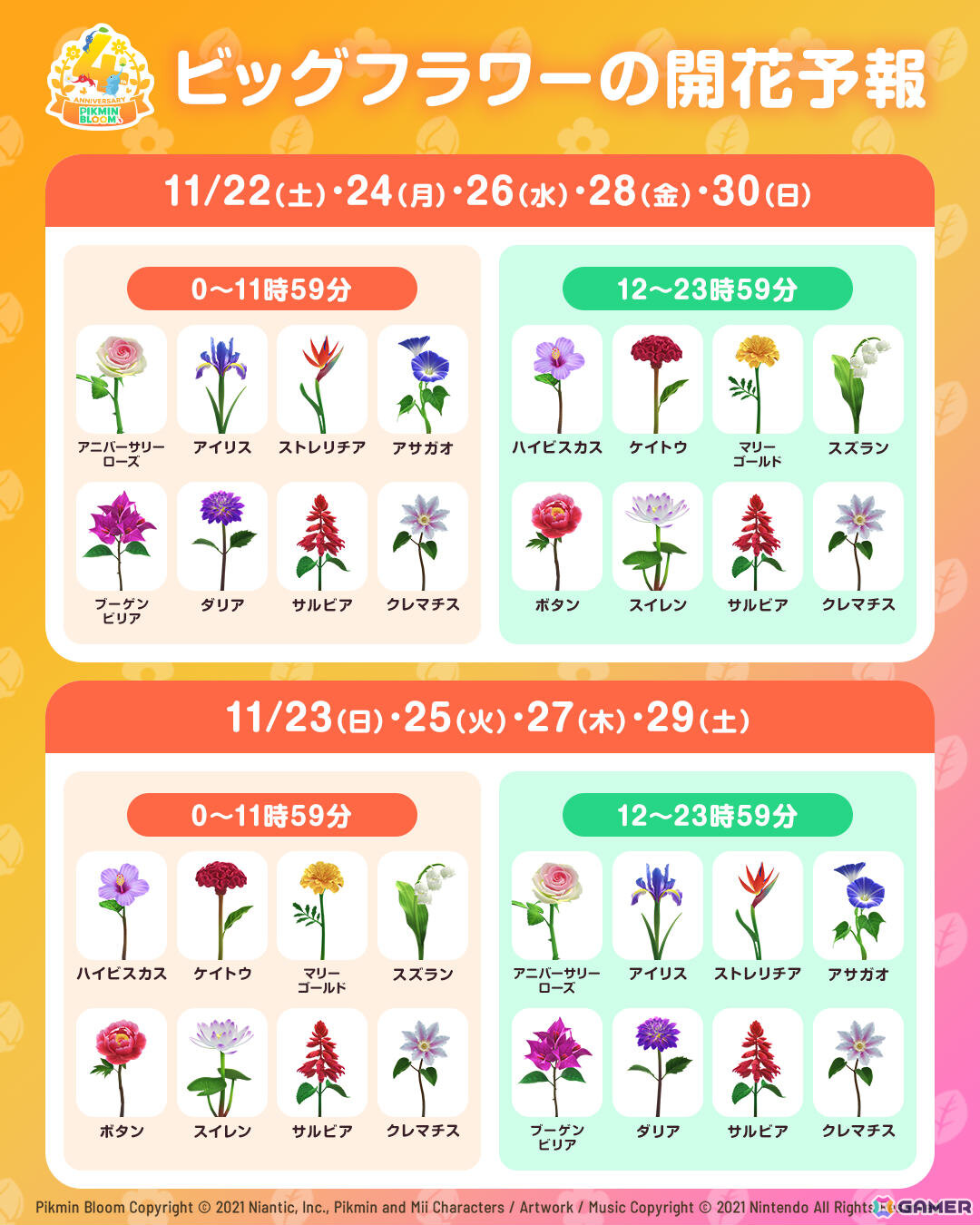 「ピクミンブルーム」4周年コミュニティ・ウィークが11月22日より開催！フラワーバッジや4周年記念バッジを手に入れようの画像